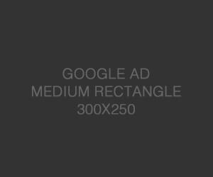 tdk-ad-333333-300x250